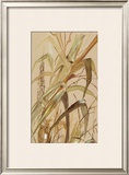Oriental Junco VI Art by Paz 