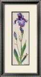Iris Panel I Prints by Ruth Baderian