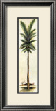 Palm III Prints by Alison Jerry