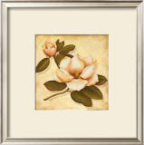 Gold Magnolia I Prints by Daphne 