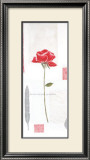 Cotton Camellia Posters by Catherine Denolly