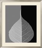 Crystalline Form II Prints by Haya Gil