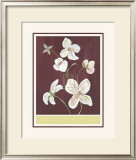 Clematis II Prints by Anne Gerarts