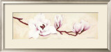 Magnolias I Poster por Elisabeth Verdonck