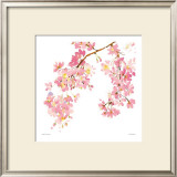 Pink Blossom Prints by Summer Thornton