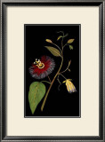 Exotic Beauty III Posters by Jaggu Prasad