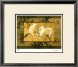 Bamboo and Orchids I Limited Edition Framed Print by Ives Mccoll