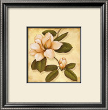 Gold Magnolia II Posters by Daphne 