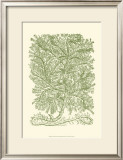 Mossy Branches IV Prints by Henri Du Monceau