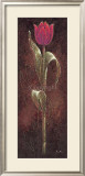 Mystic Tulip Dark Red Art by Karsten Kirchner