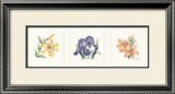 Floral Spray II Print by Sharon Medler