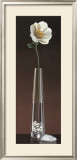 Anemone Haiku Prints by Yuki Ross