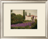 Burgundy Region, Paris Prints by Ginny Ganong Nichols