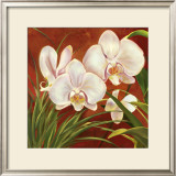 Red Orchid Prints by Laurie Snow Hein