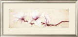 Magnolias II Posters por Elisabeth Verdonck