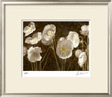 Baroque Poppies Limited Edition Framed Print by Ives Mccoll