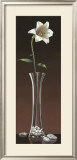 Lily Haiku Prints by Yuki Ross