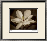 Source II Limited Edition Framed Print by Ives Mccoll