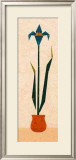Origami Iris Posters por Frank Marchese Origami Iris Posters por Frank Marchese