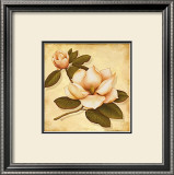 Gold Magnolia I Prints by Daphne 