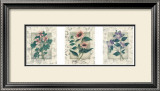 Healing Herbs, Panel II Posters by Julie Nightingale