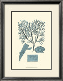 Azure Seaweed II Prints by Harvey 