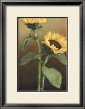 Isabell's Garden II Posters by Kory Fluckiger