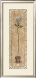 Long Stem Topiary I Posters