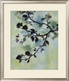 Evening Shadows II Prints by Irene Paschal
