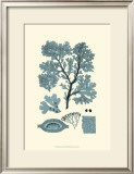 Azure Seaweed I Posters by Harvey 