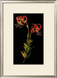 Exotic Beauty II Prints by Jaggu Prasad