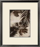 Palms I Posters by J.b. Hall