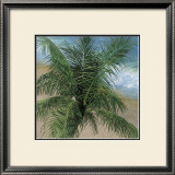 Trade Winds Art by Jacquelynn Kresman