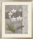 Orchid Shimmer II Art by O. Braun