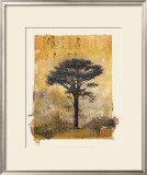 Presidio Cypress Study I Art by Donald Farnsworth