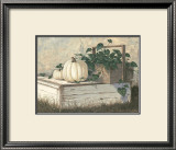 White Pumpkins Prints by Michael Humphries