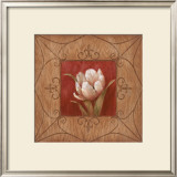 The Tulip Posters by Nan Nan