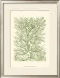 Mossy Branches III Posters by Henri Du Monceau