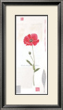 Cotton Poppy Prints by Catherine Denolly