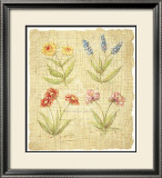 Quartet II Prints by Jacques Lamy