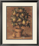 Pear Tree Posters by Joaquin Moragues