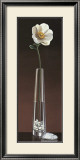 Anemone Haiku Prints by Yuki Ross