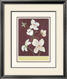 Clematis II Prints by Anne Gerarts