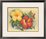 Hawaiian Hibiscus Framed Giclee Print by Eve Hawaii