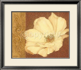 Moroccan  Flower Head Art by Anne Searle