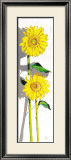 Girasoles I Prints by Juan Jose Molina