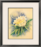 Night Blooming Cereus Framed Giclee Print by Ted Mundorff