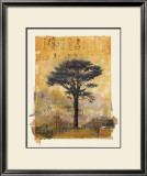 Presidio Cypress Study I Prints by Donald Farnsworth