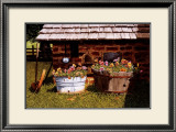 Pumphouse Pansies Posters by Bob Timberlake