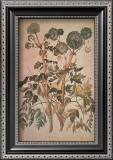 Angelica Arcangelica Prints by Jacopo Ligozzi